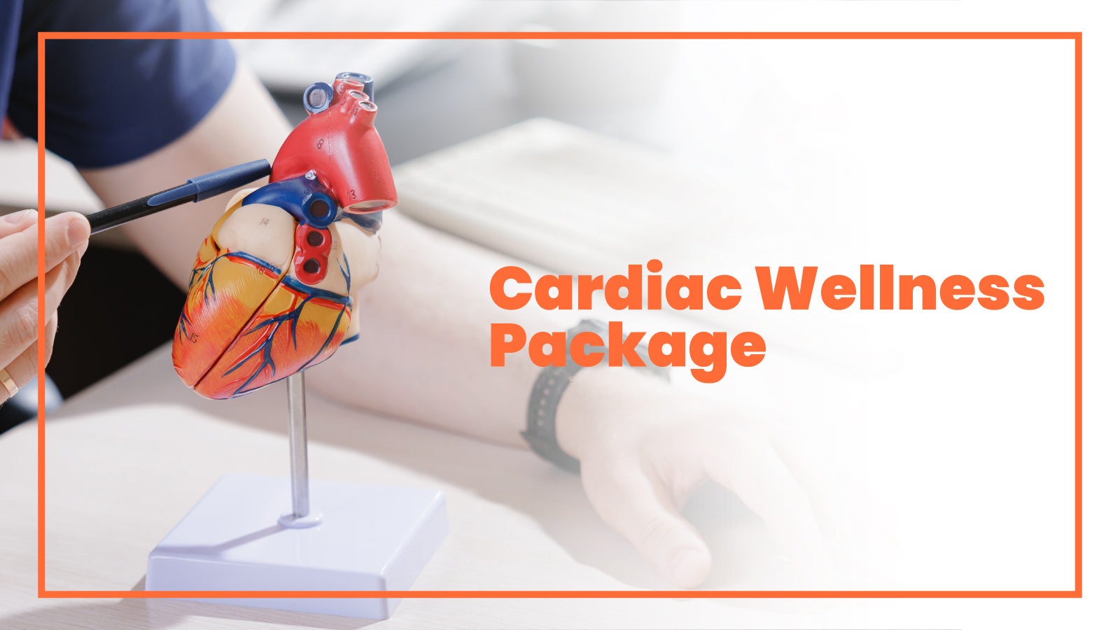 Cardiac Wellness Package (Basic)