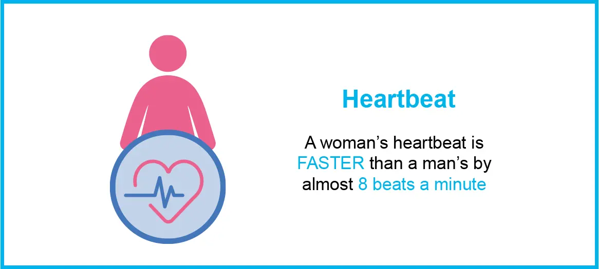 Heartbeat